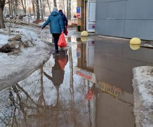 ����� �����: ��������� �������� ��������� ������� ��� ��������� ���������