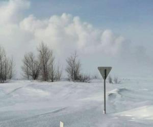 � ���� ��������� ���������, ����������: ������ ����������� �������� �������