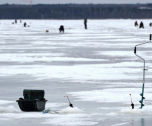 ������ ������ ����: ������� ����� ������� �� 15 ��� ��������� �����, �� ������� ����� ��������