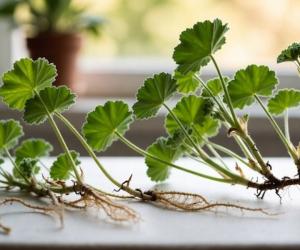 ������� ������ �������: ������ ������ ��������� ���������� �� 10 ���� ��� �����