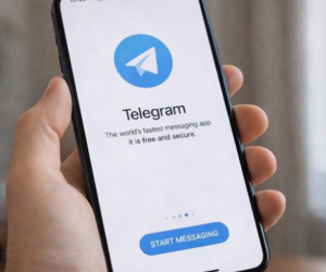 Куда уйдут рубли: депутаты объяснили, что станет с премиум-подпиской Telegram в случае блокировки