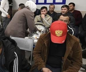 �������-���������: ���������� �������� ��������� �����, ������� ������� ��� �������