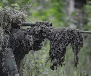 Россия законодательно запретила выдачу иностранных бойцов ВС РФ