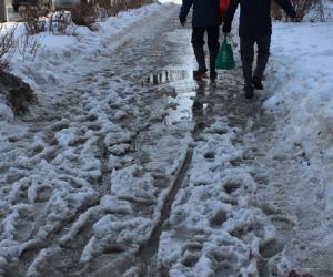 «Зима с весной ссорятся»: Тишковец пообещал столице заморозки и мокрый снег