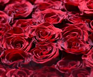 ������ �� �������, �� ���� �� ������: ���������� ������ �� ������� ��������� ��������� ��� ������ ����� ������� ��� �����������