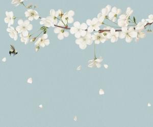 ��������� �������: ��������� ����������, ����� �� ����� ���� � ������ ������ �����