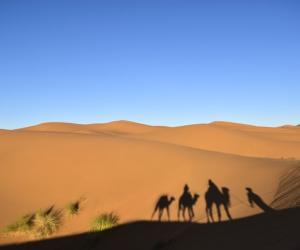 ���� �� ���������: ��������� ��������� ������ �������� �������